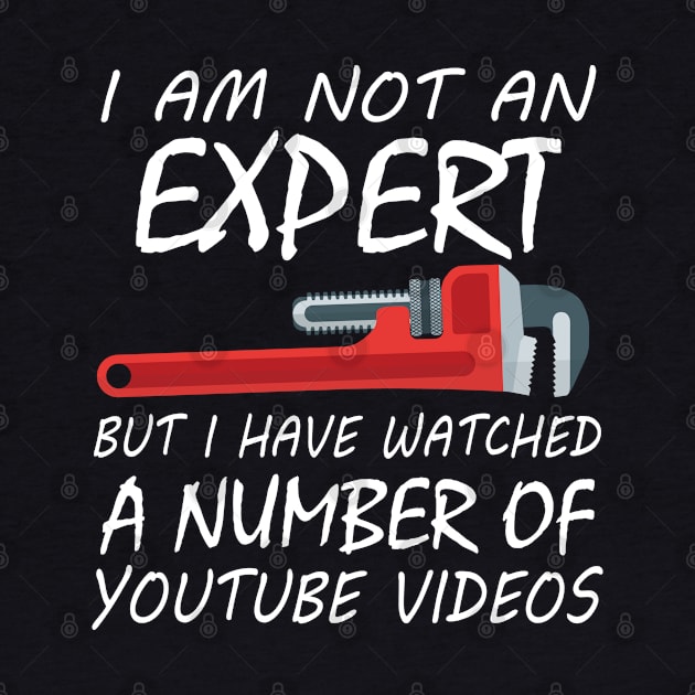 I Am Not An Expert But I Have Watched A Number Of Youtube Video by Tee-hub